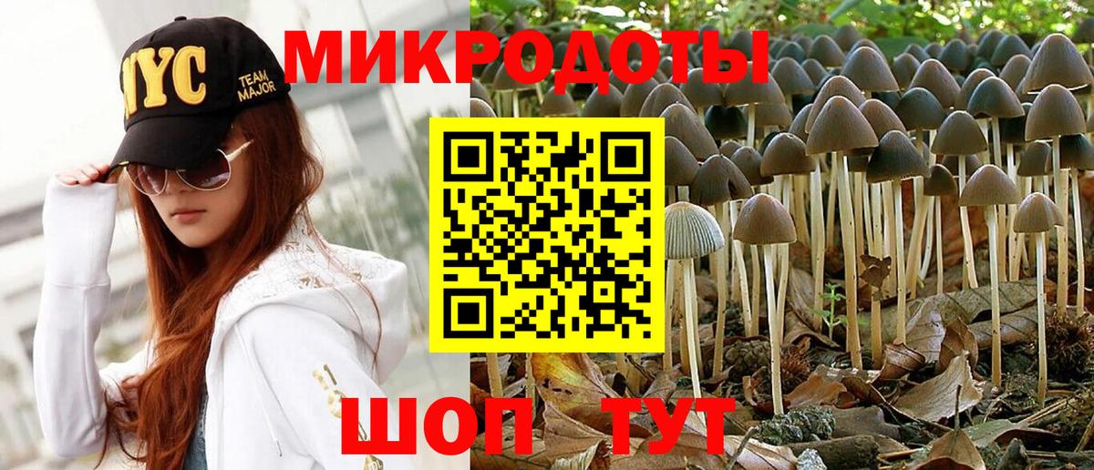 Гуково  Галлюциногенные грибы Cubensis  наркотики  Вход с VPN 