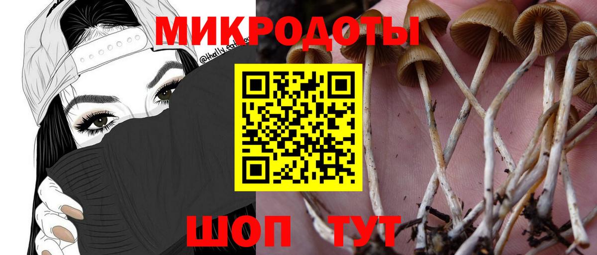 Галлюциногенные грибы Psilocybine cubensis Гуково
